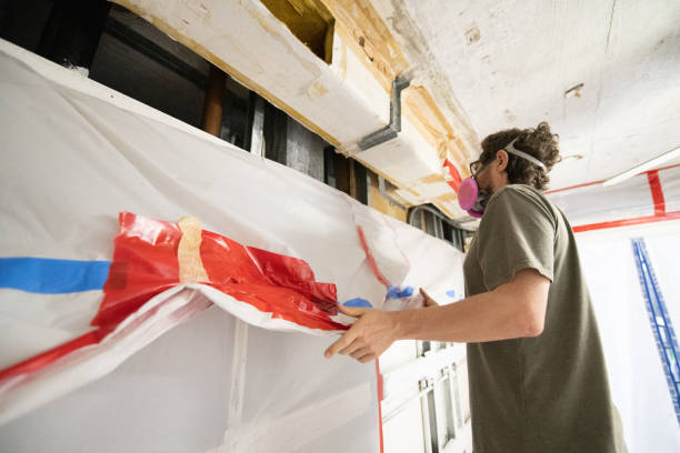 Best Black Mold Removal  in Wynnewood, OK